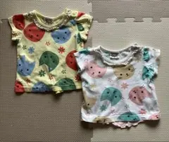 猫柄Tシャツ2枚セット 70cm