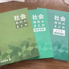 ももみ様 リクエスト 3点 まとめ商品