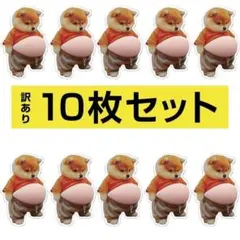 【訳あり】10枚 柴犬 ぷにぷに 立体 シール おなか ぷっくり シール帳 いぬ