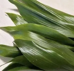 葉蘭ハラン緑色の広葉の葉 盛り付けの飾り抗菌作用