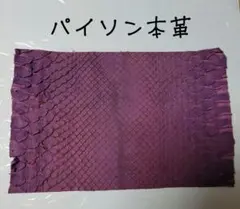 Item thumbnail for item 75698d70-2397-43be-ba0d-8c0922ad8fc3