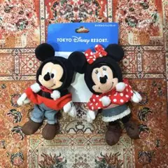 過去デザイン　入手困難　ミッキーミニーぬいぐるみバッチ2点セット