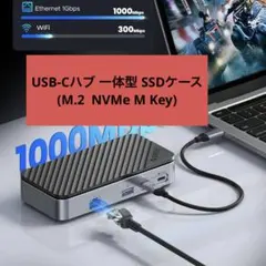 ORICO 9-in-1 USB-C ハブ M.2 NVMe SSDケース付き