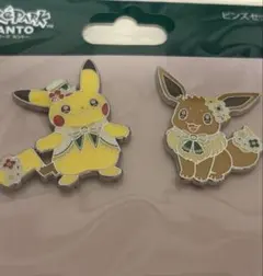 ポケパーク カントー ピカチュウ イーブイ ピンズセット - メルカリ