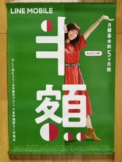 本田翼 グッズ 非売品 2026年最新】本田翼 グッズの人気アイテム - メルカリ
