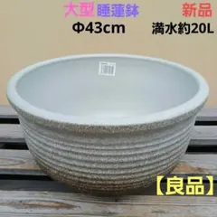 新品 特大51 陶器 睡蓮鉢 メダカ鉢 難有 ラリマーブルー スカイブルー