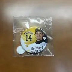 Item thumbnail for item a334a016-add1-41bc-9359-bd0f5964ac37