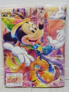東京ディズニーランド　40周年　バスタオルワイド