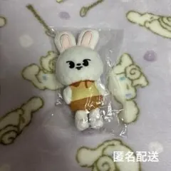 straykids maniac アンコン バッグチャーム プリン リービット