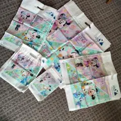 2017年 ディズニーランドイースター ショップ袋　まとめ売り