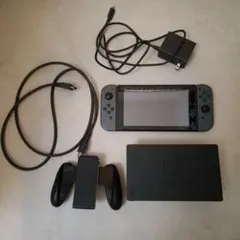 Nintendo Switch 本体 グレー ドックセット ケース付き - メルカリ