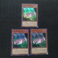 遊戯王 未開域のツチノコ スーパー 3枚セット