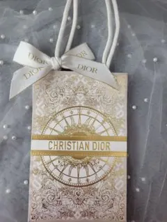 2024クリスマス限定デザイン！ CHRISTIAN DIOR ショップ袋