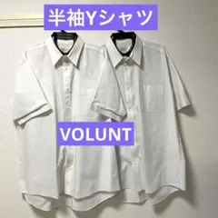 Item thumbnail for item 04f2a687-d3fc-4e50-bcde-cc3afba6ba64