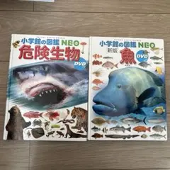 小学校の図鑑 NEO2冊セット