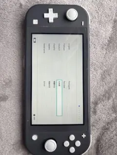 Nintendo Switch Lite 本体 + ACアダプター