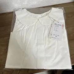 Item thumbnail for item e742f7b8-c864-4f84-bee9-ad58e5ee504e