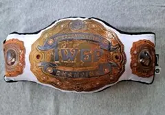 チャンピオンベルト スポーツ選手