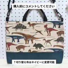 Item thumbnail for item 8c6aeb19-12dd-4e1d-b99e-16b582402a24