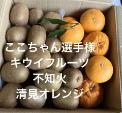 ここちゃん選手様　キウイフルーツ＆不知火