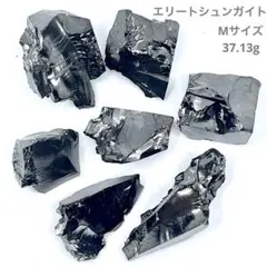 エリートシュンガイト　Mサイズ