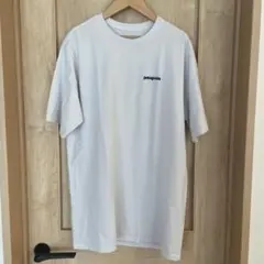 Patagonia 半袖 Tシャツのサムネイル