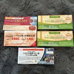 高鷲スノーパーク　ダイナランド　50%OFF券5枚　値下げしました 高鷲スノーパーク&ダイナランドリフト50%OFF券 【公式通販】