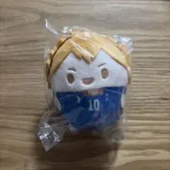 ハイキュー‼︎ くじメイト ぬいくじ D賞 ふわコロりん　日向翔陽
