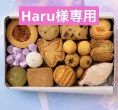 Haru様専用ページです☆