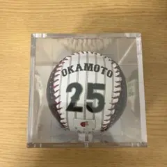 阪神タイガース 甲子園球場100周年 記念品 ジオラマ(非売品) - メルカリ