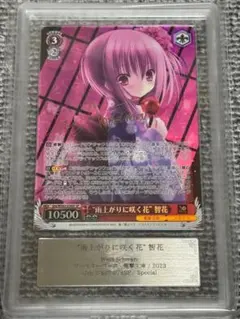 【鑑定書付】 ARS10 ヴァイスシュバルツ 雨上がりに咲く花 智花 2026年最新】雨上がり 智花の人気アイテム - メルカリ