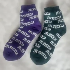 【履くホカロン】紳士靴下☆裏ボアソックス☆2足セット