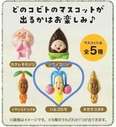 こびとづかん マスコット ハルゴロモ