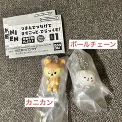 SEVENTEEN セブチ　MINITEEN ミニティーン　ウジ　ジョシュア
