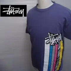 STUSSY Tシャツ