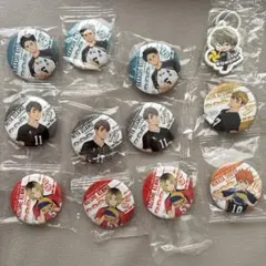 ハイキュー くら寿司 缶バッチ めじるし セット