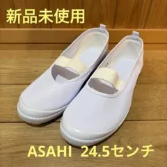 新品未使用　上履き　24.5センチ