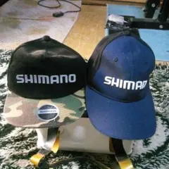 Item thumbnail for item 539b9e80-e287-4ba5-b35e-f59df602e87d