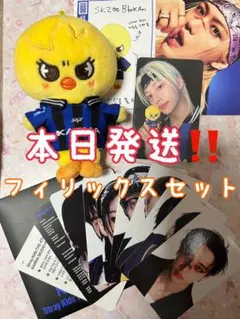 straykids スキズ karma skzoo ポガリ フィリックス