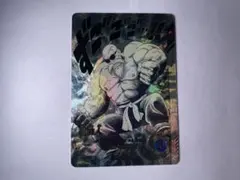 ドラゴンボール ダイバーズ 40th 亀仙人　パラレル　APT-020