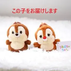 【新品】チップ＆デール ぬいぐるみ うるぽちゃちゃん　タグ付きのサムネイル
