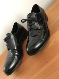 Item thumbnail for item 2628218e-73e8-480e-b333-a0a9791fa899