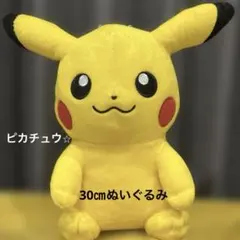 ピカチュウ ぬいぐるみ 約30cm