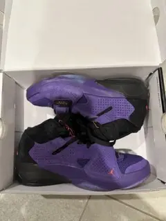 Air Jordan バスケットシューズ ハイカット パープル