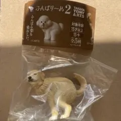 ゴールデンレトリバーシークレット