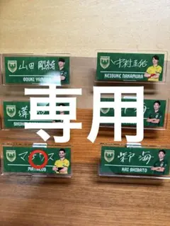 “ちいプロフ必ずお読みください質問一度で”様　専用