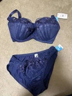 ネイビー 花柄刺繍 ブラジャーショーツセット G65