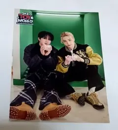 スキズ straykids SKZ TOY WORLD チャンビン ヒョンジン