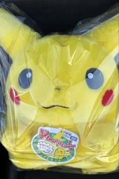 新品　ポケモン30周年記念おかえり!ピカチュウ1/1
