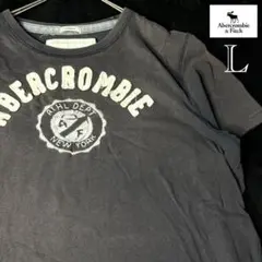 Abercrombie & Fitch アバクロ y2k 刺繍ロゴ 美品のサムネイル